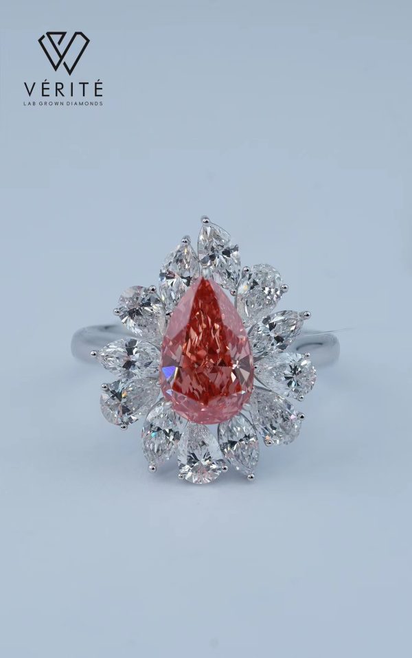 Princess Belle - Pear - Image 3